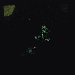 "Chrono Quest" - Saliboat & Giant Squid